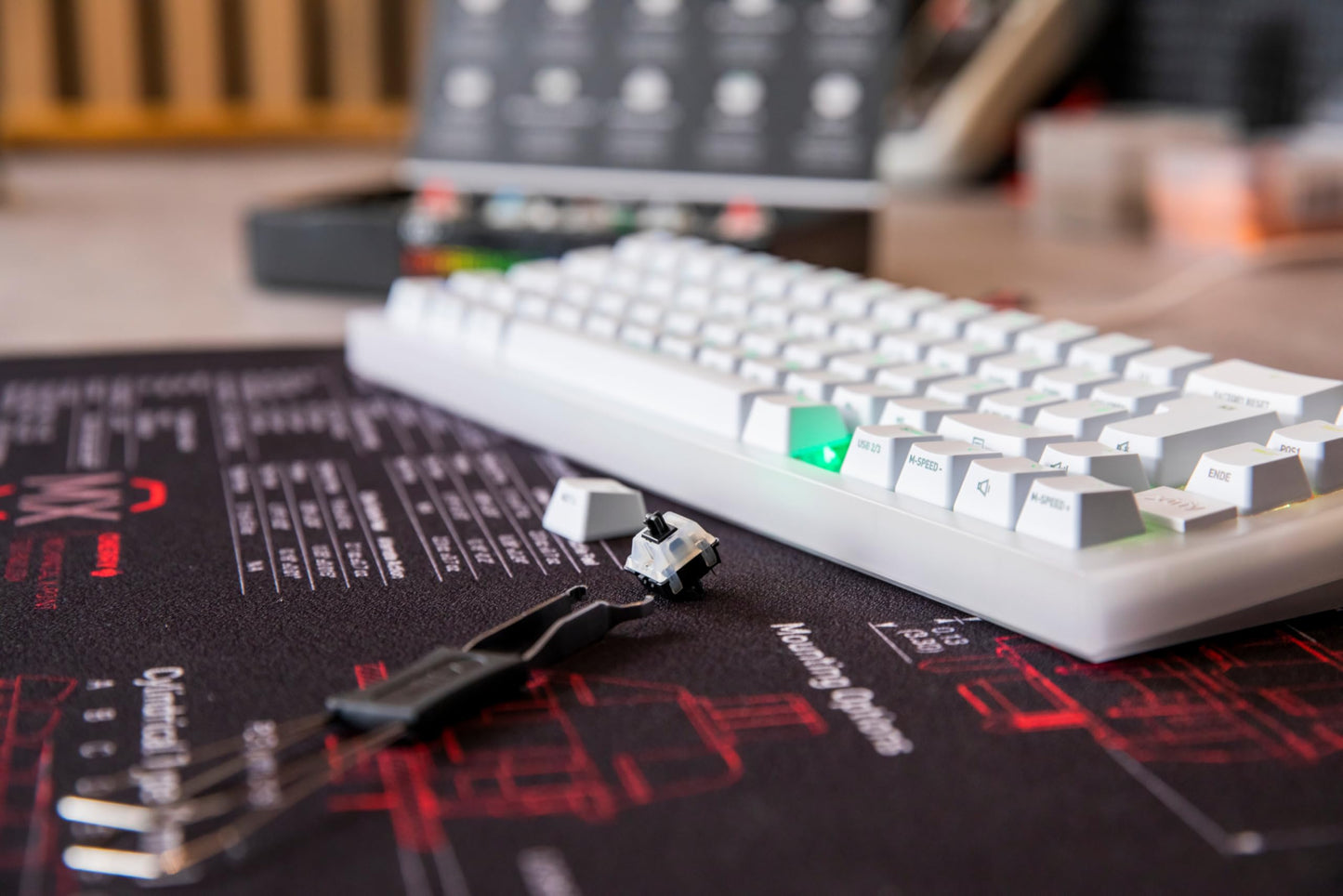 CHERRY MX EXPERIENCE BOX, 10 Mechanical Keyboard Switches