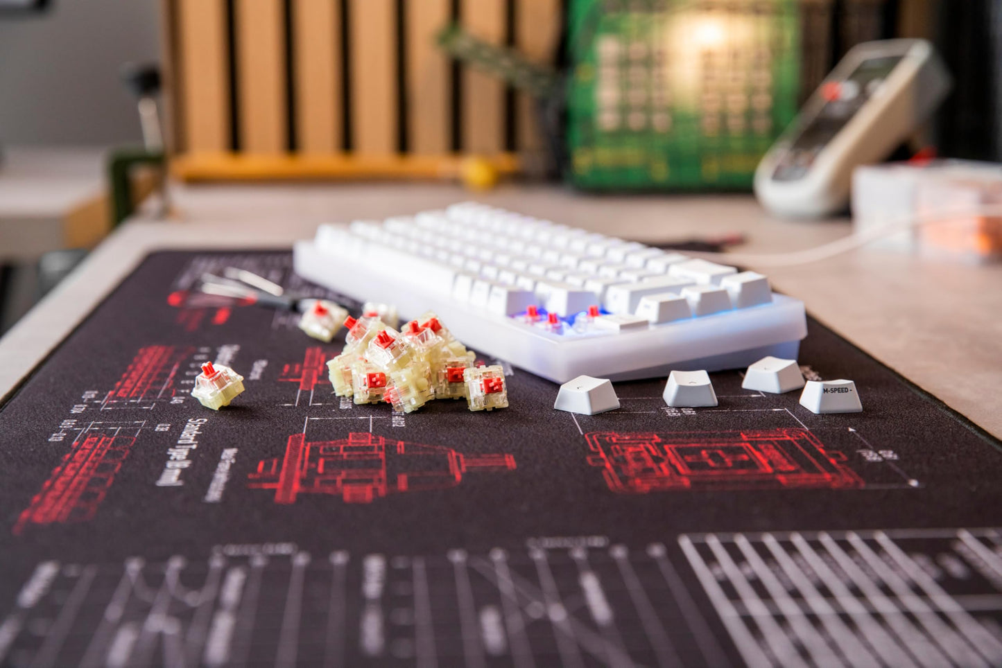 CHERRY MX EXPERIENCE BOX, 10 Mechanical Keyboard Switches