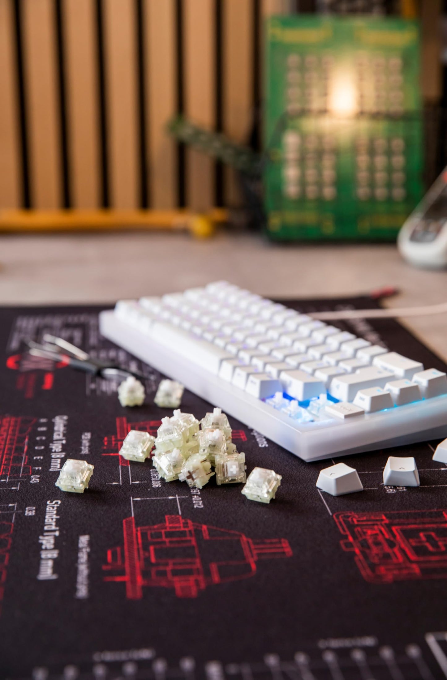 CHERRY MX EXPERIENCE BOX, 10 Mechanical Keyboard Switches