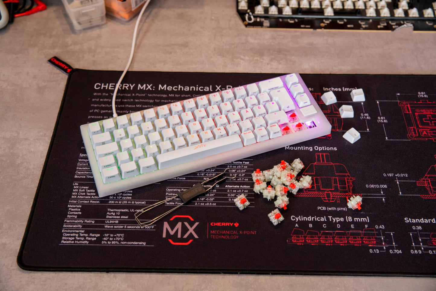 CHERRY MX EXPERIENCE BOX, 10 Mechanical Keyboard Switches
