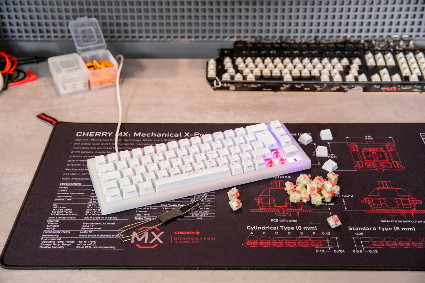 CHERRY MX EXPERIENCE BOX, 10 Mechanical Keyboard Switches