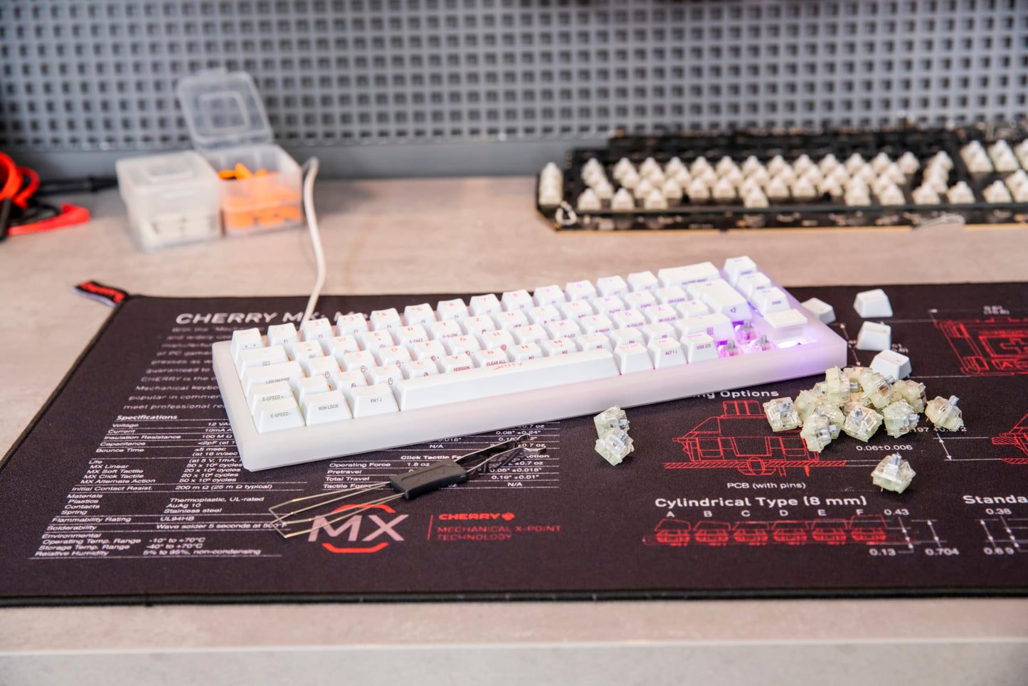 CHERRY MX EXPERIENCE BOX, 10 Mechanical Keyboard Switches