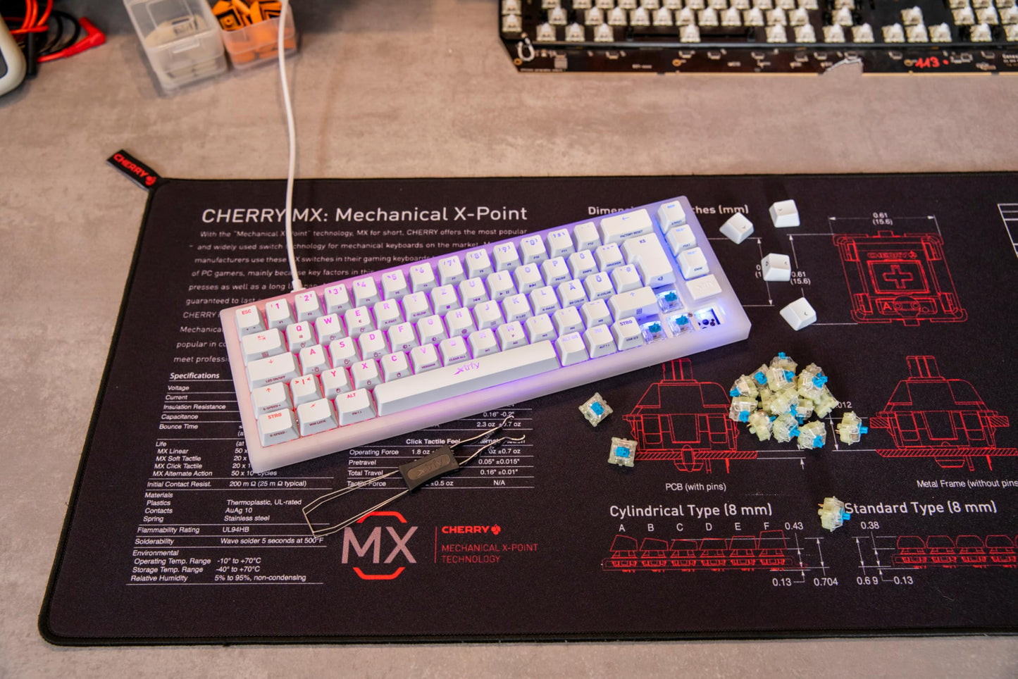 CHERRY MX EXPERIENCE BOX, 10 Mechanical Keyboard Switches